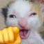 e_gg