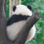 シ คิดถึง  菜