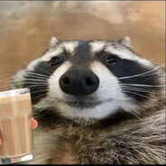 raccoon <3