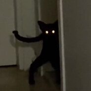 所有人保持内裤干燥