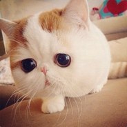 denifa4 - steam id 76561198115778091