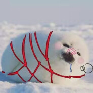 别狗叫，听不见