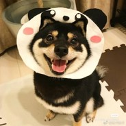 Dogemei