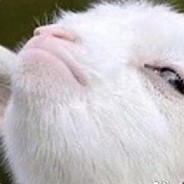 爱戴胸罩的小男孩