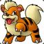 Growlithe