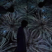 青青草原懒羊羊