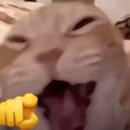 急了急了急了急了