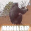 Monkii_G