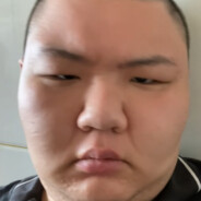 我是樱岛麻衣的狗