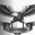 E@gleVision (believingisseeing)