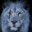 Dima Steam avatar