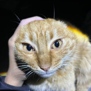 她说为了中非友谊