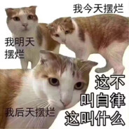 傲北