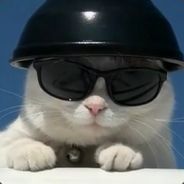 江南小学第一狙