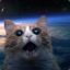 a cat from space