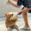 陆离