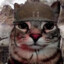 Callme_Aksel