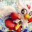 delibirds8
