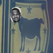 合肥工业大学蔡佳席