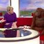 news orangutan