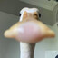mr. quak