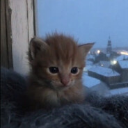 刻意失手杀死雇主100法