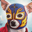 El Luchador