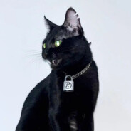 𝙆𝙧𝙞𝙨𝙩𝙞𝙣.