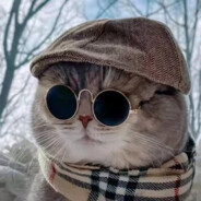 桑心流泪猫猫头