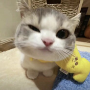 不愿透露姓名的陈立农