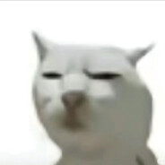 不过是些许风霜罢了