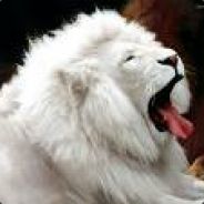 KlA~"{ D0BE.2X>"~Shen