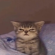 ben