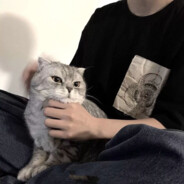 Big Avatar