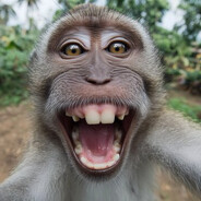 Monkey Selfie