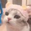 KK(•̀ω•́)✧