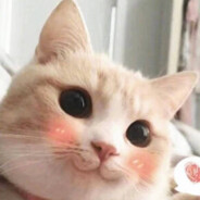 从步枪入门到刺刀精通