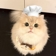 宝宝巴士固定 50+