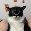the foreboding cyclops