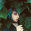 Black Osier Garden
