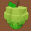 Sugar Apple