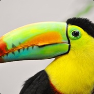 Le Toucan