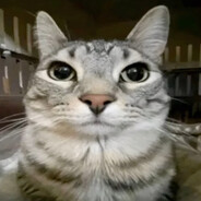 humbleBEAST dyeff#blessed