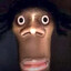 gogesu
