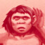 poqomchi