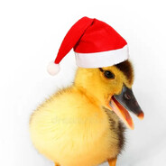 Vuelve Lucero, Te Extraño :c