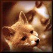 Mme.Legolas&LesRenards