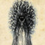 The Fool