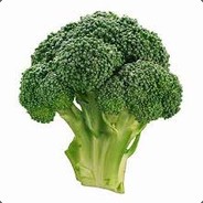 broccoli knight