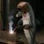 Dolphin The Welder